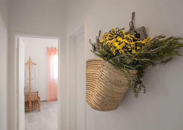 Mare Cheia Appartement